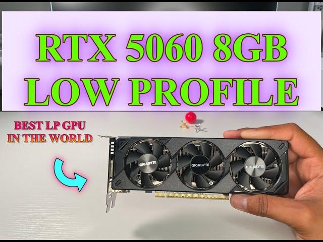 UNBOXING RTX 5060 LOW PROFILE 8GB. THE MOST POWEFUL LP GPU AS OF 6 2025. #rtx5060 Like #rtx5060ti