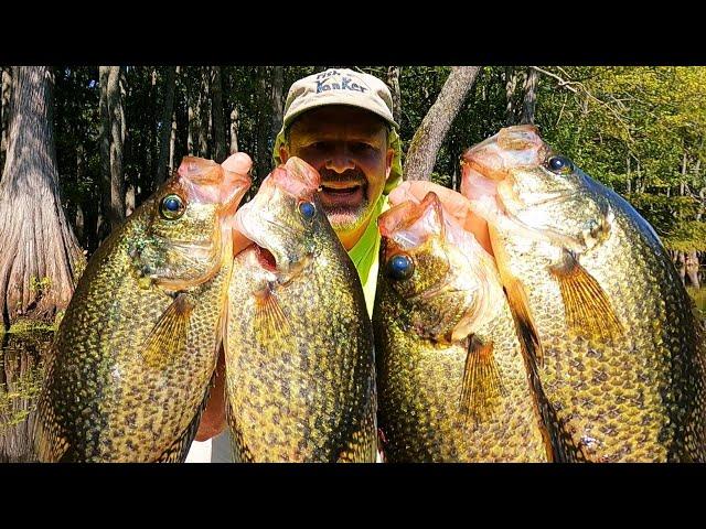 3 Simple Techniques to Load the Boat with Fall Crappie This Year