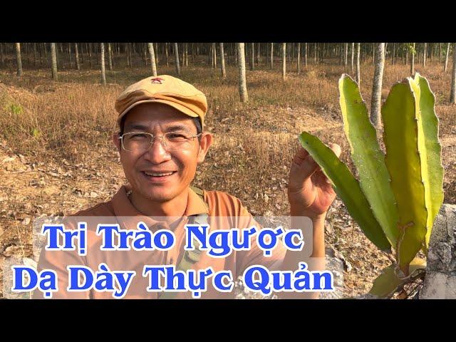 Trị trào Ngược Dạ Dày Thực Quản. @PHAN HẢI Channel