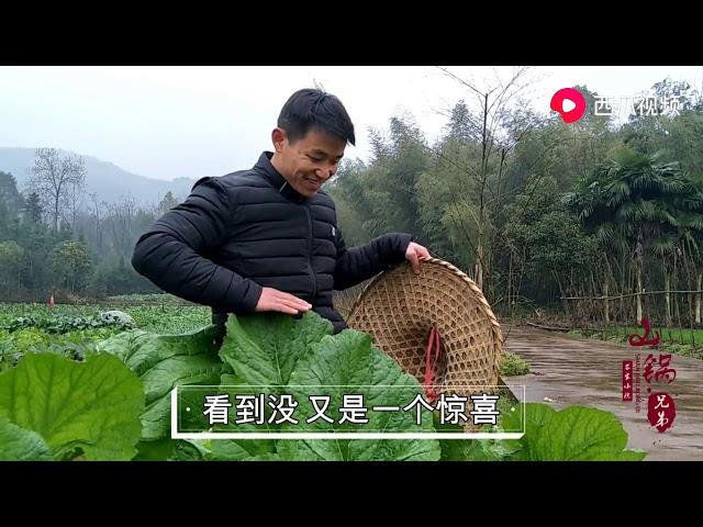 【山鍋兄弟】山鍋兄弟：田園風光無限美好，鳥語花香菜比人高！