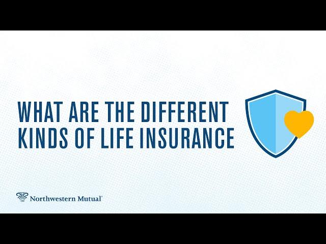 Life insurance: what you need to know