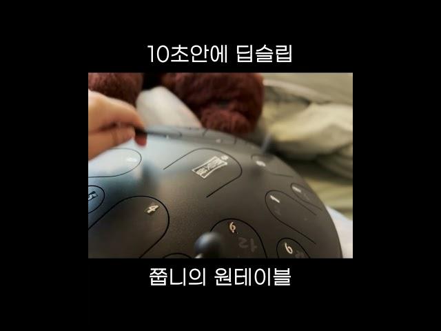 10초 만에 잠드는 ASMR