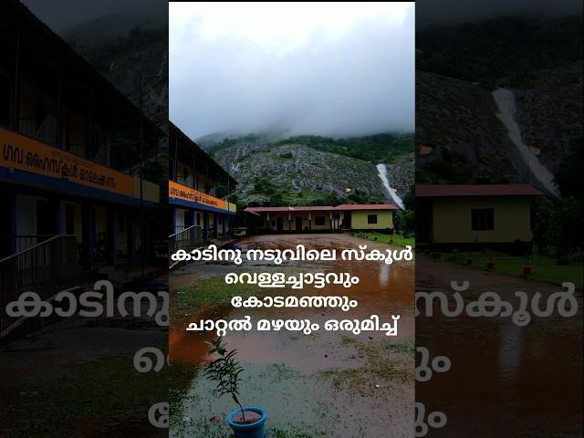 കാടിനു നടുവിലെ സ്കൂൾ - മാമലക്കണ്ടം