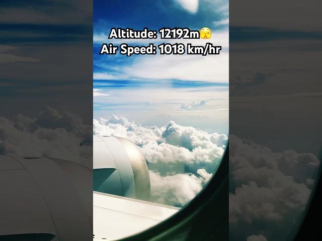 Jetting at 1018 km/h. Experience the Thrill of 12193m Altitude. Discover the Beauty of the Clouds.