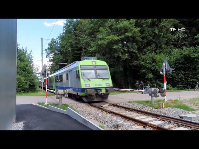 Railroad Crossing - Wiler bei Utzenstorf  (CH) - Bahnübergang Bannholzweg , Passage à niveau