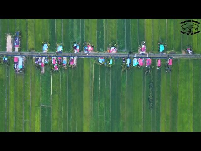 KAMPUNG PARIT GABIS | Telok Medan | Bagan Serai - The Cinematic [Kerian Paddy Field]