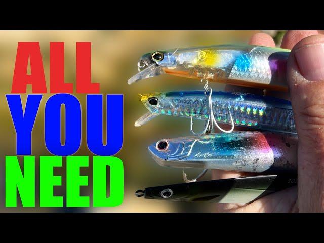 The Only 4 Bass  Lures you need!