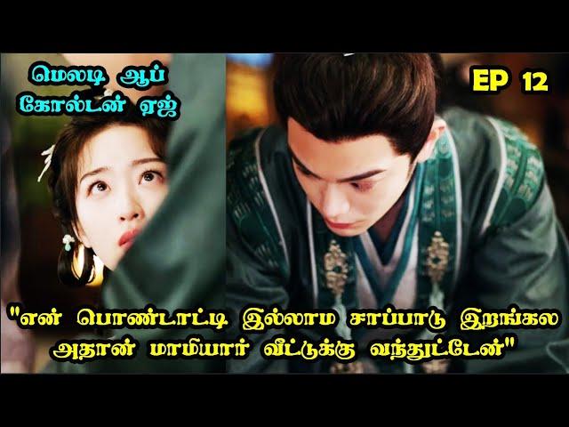 EP 12  | ️️ White Ghost️️ #storyneramtamil #Dramareview #CDrama #SNTLove