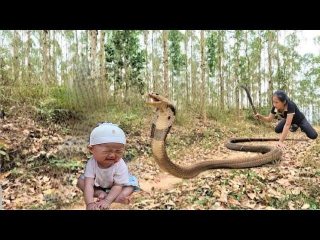 Single mother picking vegetables to sell - everyday life | Nhì Free life