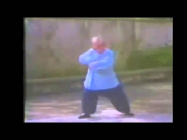 Fu Zhong Wen - internal exercises for fajin