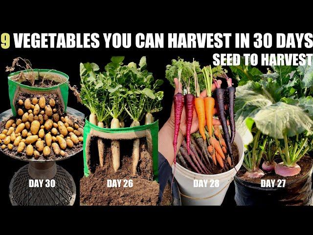 Top 9 Fast Growing Vegetables | SEED TO HARVEST IN 30 DAYS