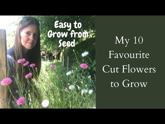 10 Favourite Cut Flowers To Grow | Easy Flowers To Grow From Seed | Cut Flower Garden