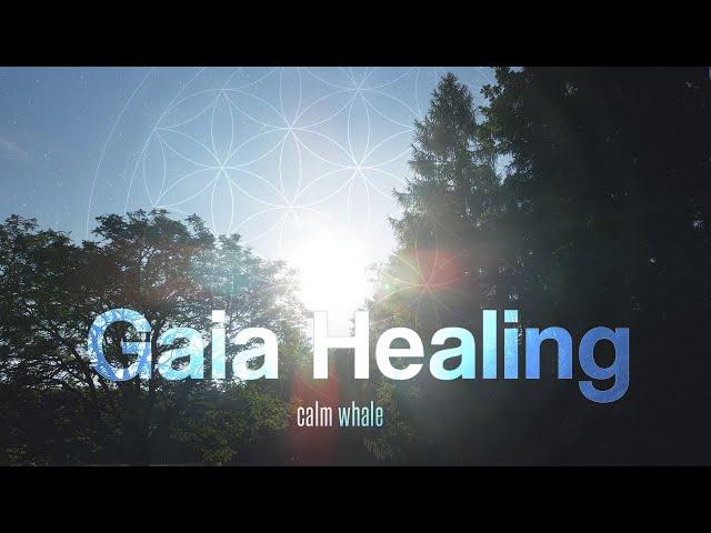 Gaia Healing  Slow Shaman Drum & RAV : Tantra Music : Solar Plexus Chakra Meditation