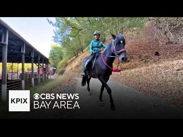 Horse riders anxious over cyclists' access to Mount Tam trails