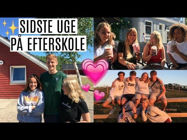 SIDSTE UGE PÅ EFTERSKOLE - VLOG