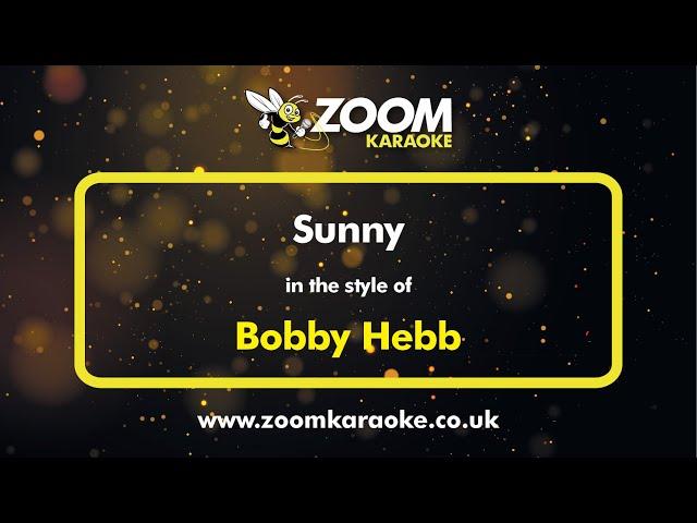 Bobby Hebb - Sunny - Karaoke Version from Zoom Karaoke