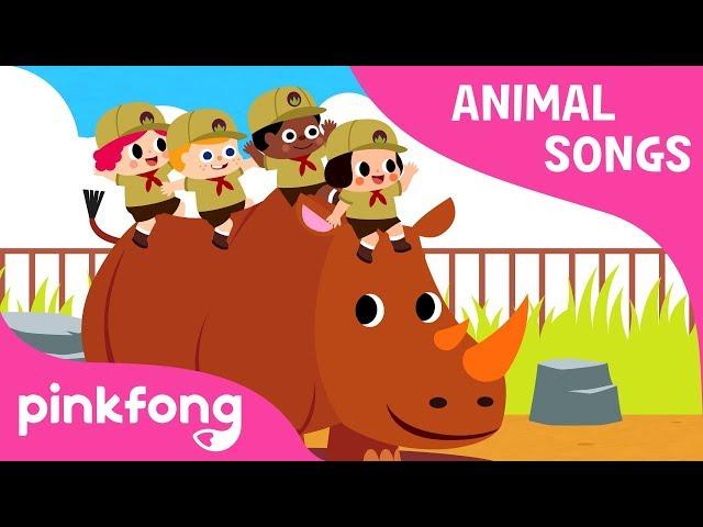 Peek-a-Zoo | Animal Songs | Pinkfong Songs for Children