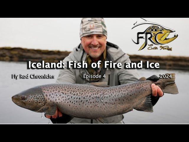 Iceland - Fish of Fire and Ice