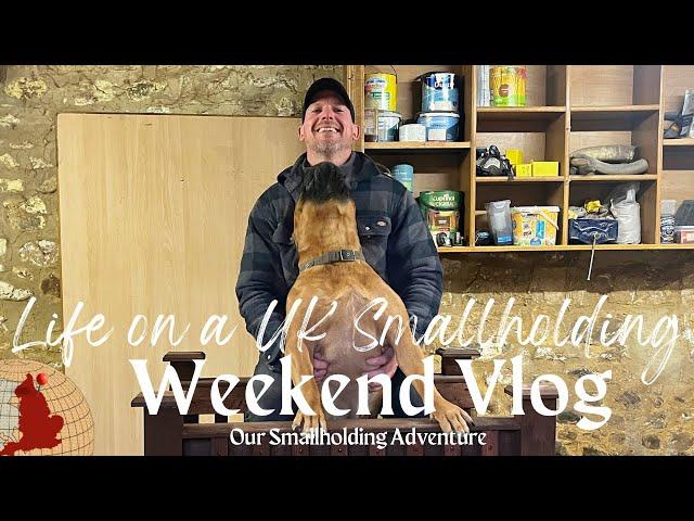 Life on a UK Smallholding | Weekend Winter Toils