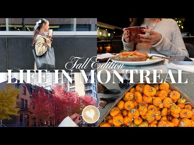 what it's REALLY like living, working & studying in Montreal, Canada FALL EDITION  {vlog}