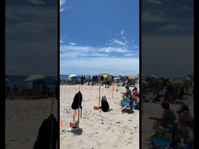 F35 Slow Flight at Fort Lauderdale Airshow 2022#aviation #planespotting #f35 #pilot #military