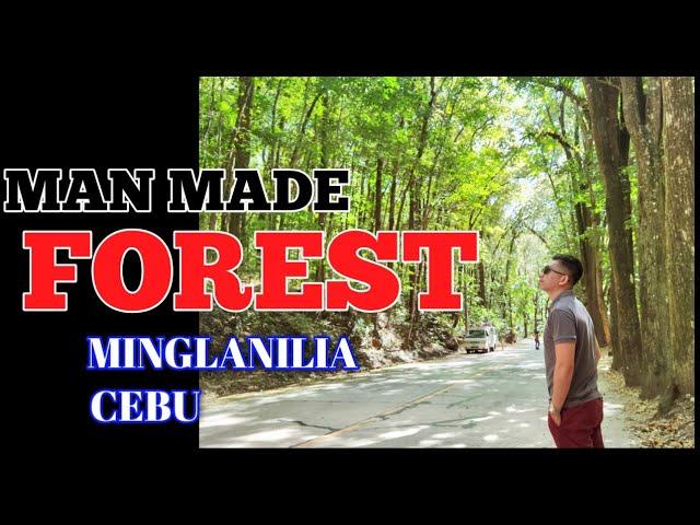 MAN MADE FOREST OF CEBU || AMAZING PLACE 01 || GIL'S TRAVEL