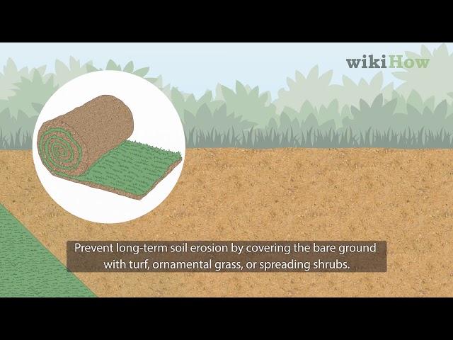 How to Prevent Soil Erosion