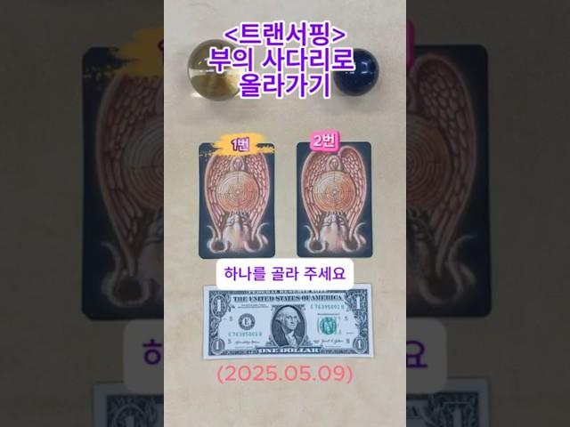 이번 주, 돈 들어올 사람은 이 카드 나옵니다 #타로 #타로금전운 #중년운세