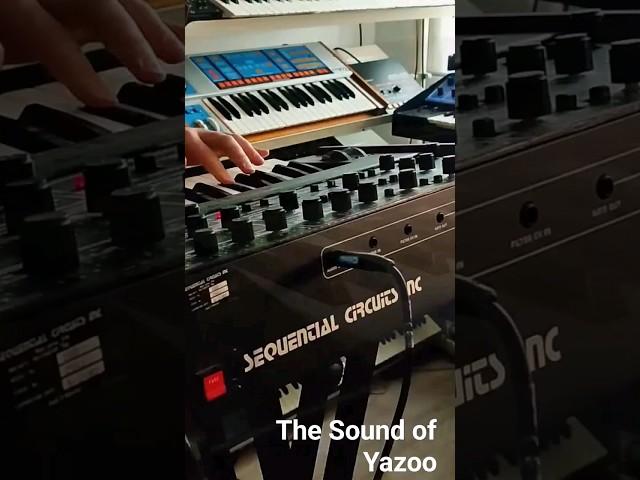 The Sound of Yazoo #synths #newwave #80smusic  #synthesizers #synthesizer #retrosound  #synth