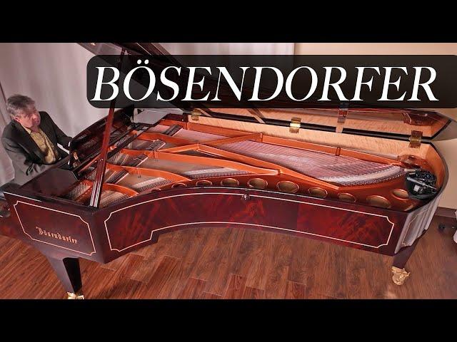 Bösendorfer Rare Senator Style Concert Grand Piano for Sale - LIVING PIANOS