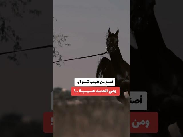 أصنع من الهدوء قـــــوة ومن الصمت هـــيـــبــة ..!