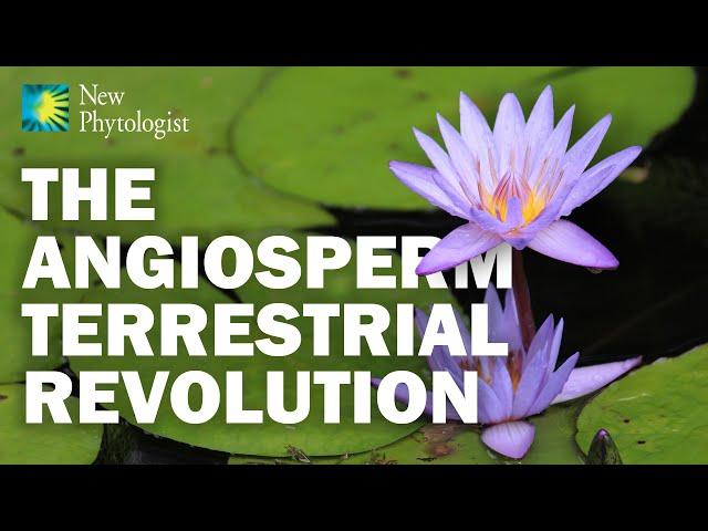 The Angiosperm Terrestrial Revolution