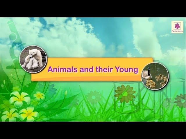 Animals And Their Young Ones | Science For Kids | Grade 4 | Periwinkle