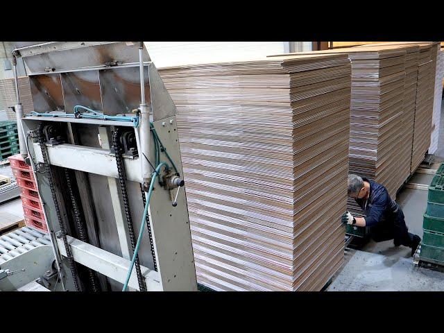 Making only boxes over 40 years! The process of making cardboard boxes. Korean packaging factory