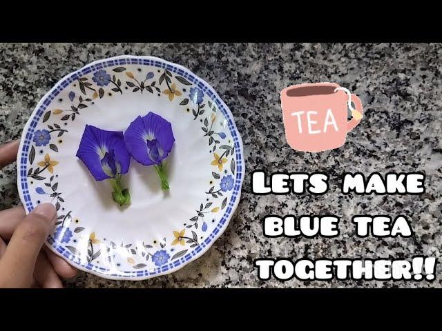 Make blue tea with me!!! blue tea recipe video by Manya's Random Adventures.