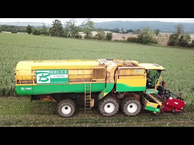 Bruce Farms - Harvesting Broad Beans in Perthshire with 6x PMC/Ploeger harvesters, September 2021