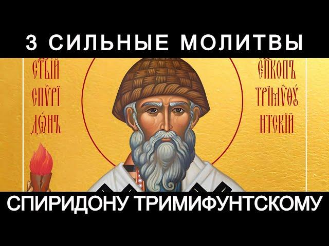 3 сильные молитвы Спиридону Тримифунтскому