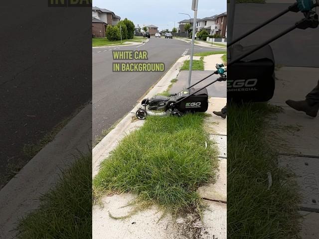 The Lawn Was Taking Over The Sidewalk! #satisfying #freemowfridays