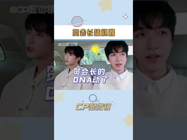 #贺峻霖 光明正大嗑Cp#祺鑫#马嘉祺#丁程鑫#CP显微镜