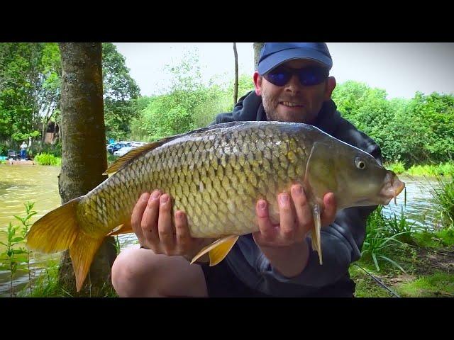 Catching Loads of CARP on a Windy Day in July - Carp Fishing Session