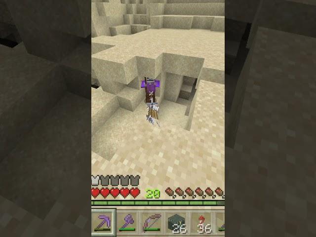 Minecraft : skeleton