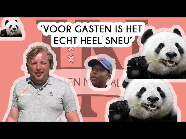 Wat is een HUISPANDA? - Taalles #23