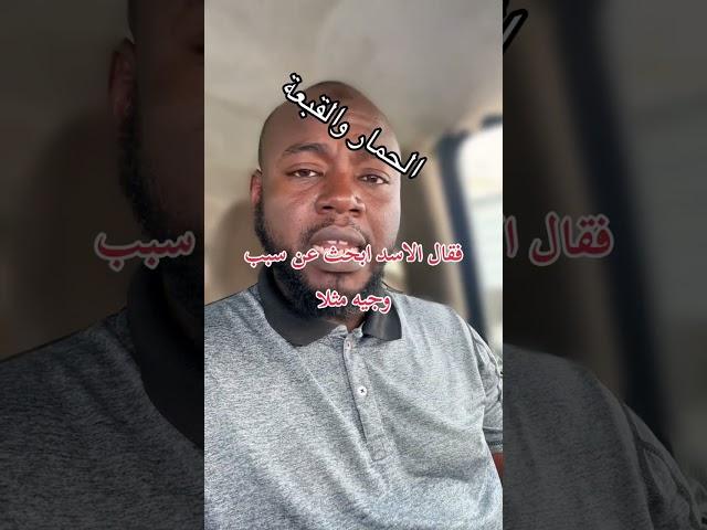 الحمار والقبعة