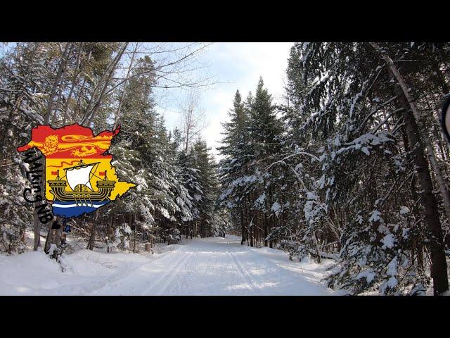 Porc-Epic and Carcajou trails at Centennial Park, Moncton NB | Real Time Walking | 4K