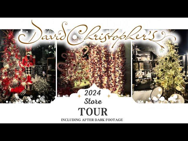 David Christopher's Christmas Store Tour with After Dark Footage ( 2024)