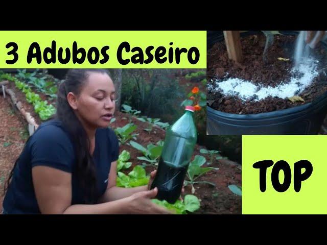 3 ADUBOS CASEIROS para todas as plantas APRENDA