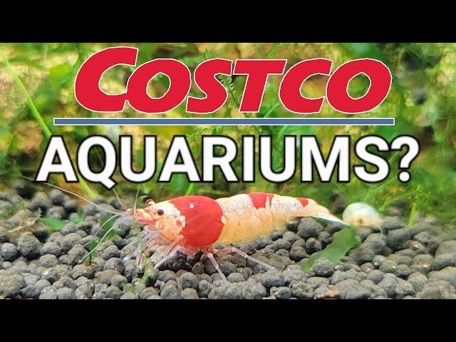 The Cheapest, Best and Easiest Aquarium From... Costco?