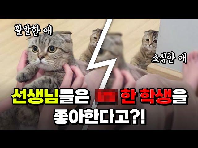 최애 학생?시험출제의 비밀? 현직 선생님 다섯분께 대신 물어봐드림 | 입시덕후