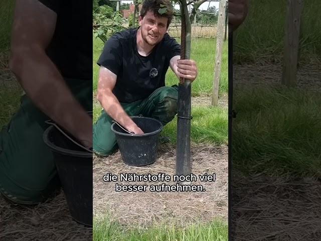 #gardentips #gardening #organicfarming #diygarden #self-sufficient #caretips