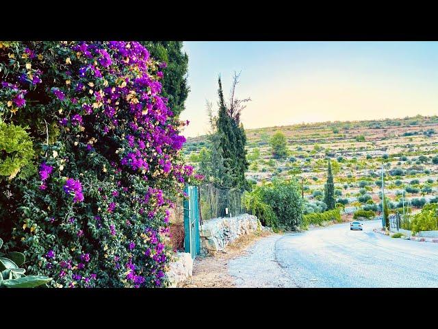 Palestine- Beit Doqu Village   بيت دقو